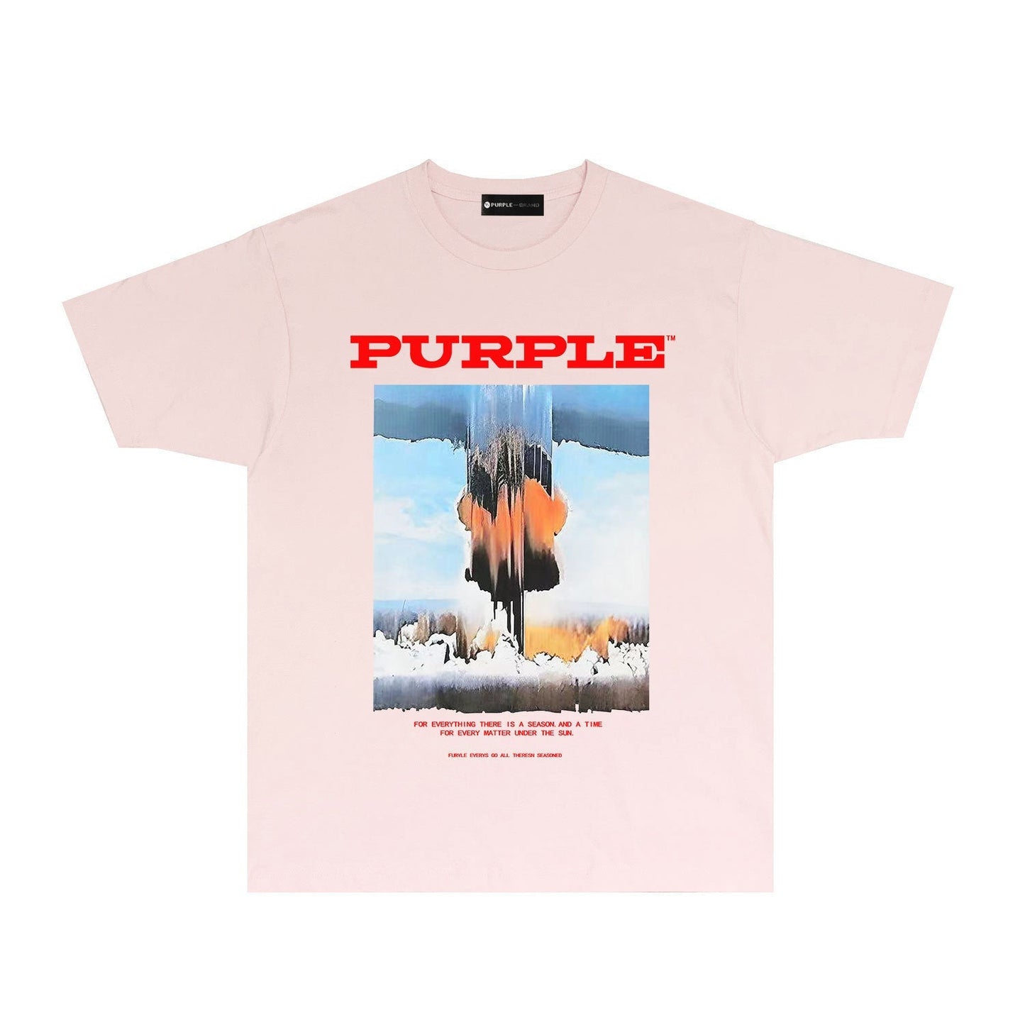 Purple Brand T Shirts