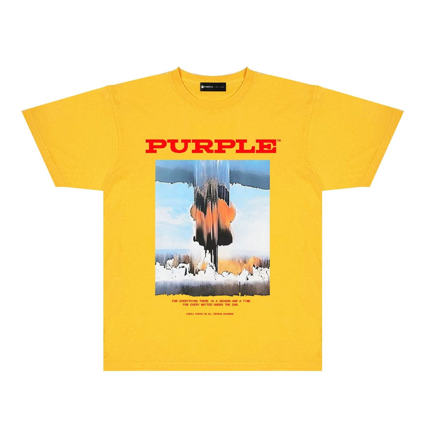 Purple Brand T Shirts