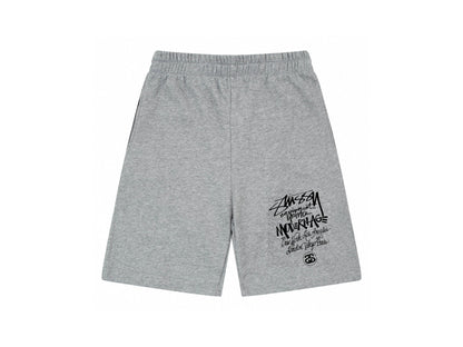 Stussy Shorts Teen Classic Logo Shorts