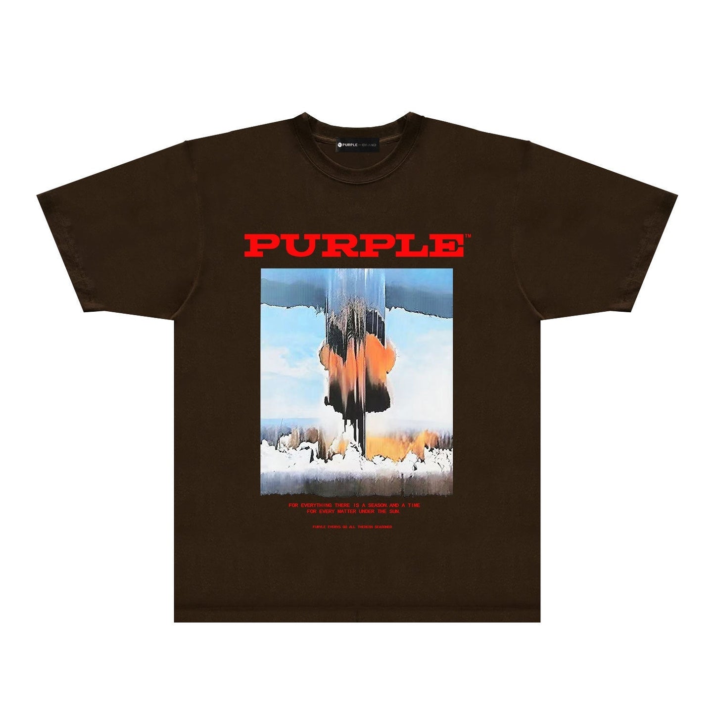 Purple Brand T Shirts