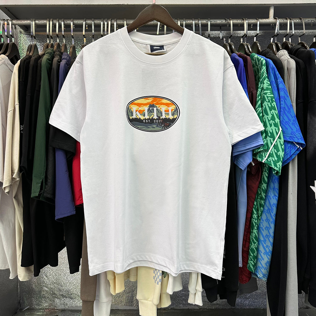 Kith T-Shirt KITH Mountain Peak and Horse Scenic Print