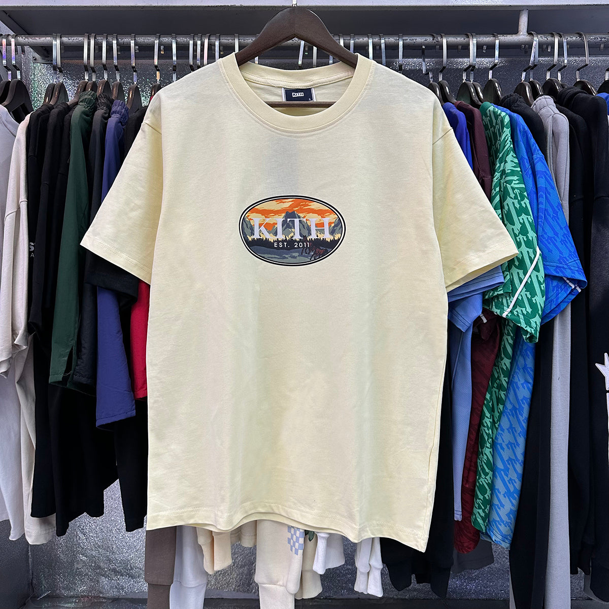 Kith T-Shirt KITH Mountain Peak and Horse Scenic Print
